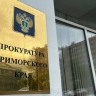 Вмешалась прокуратура: ребенка придавило воротами во Владивостоке