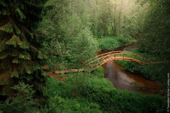 На новом маршруте Большой Валдайской тропы появился мост и ещё много интересного На новом маршруте Большой Валдайской тропы появился мост и ещё много интересного
