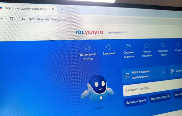 Новый сервис «Госуслуг» защитит граждан от интернет-мошенников