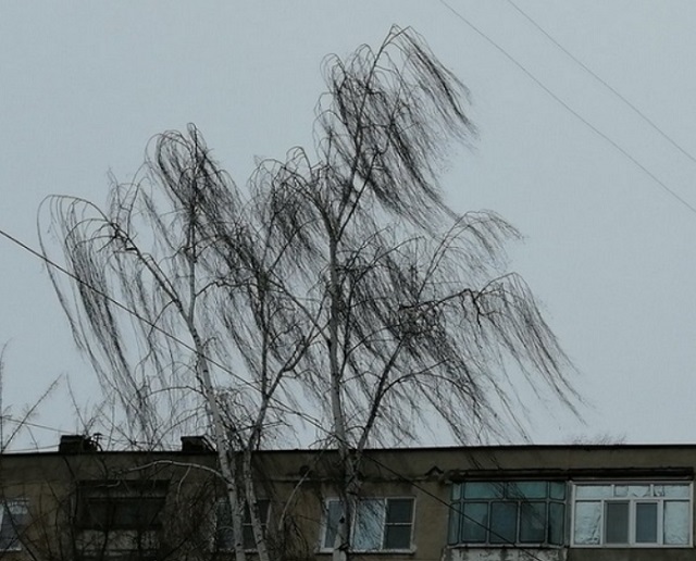 МЧС: в Мордовии усилится юго-восточный ветер