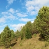 В Башкирию вернётся тепло