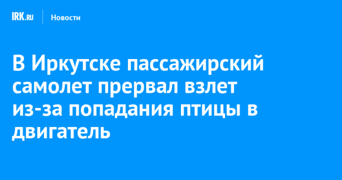 В Иркутске пассажирский самолет прервал взлет из-за попадания птицы в двигатель
