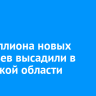 6,6 миллиона деревьев высадили в Иркутской области