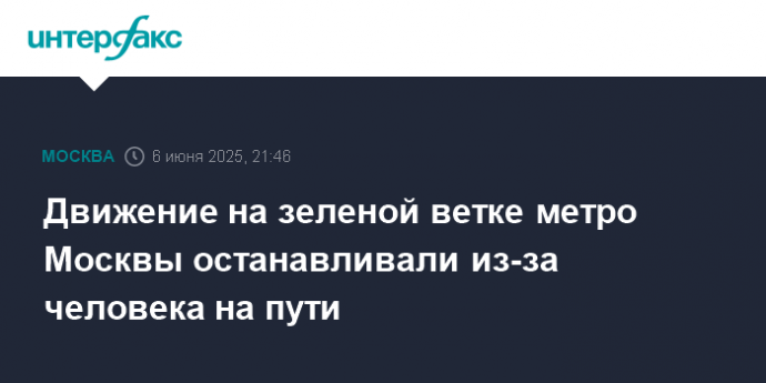 Движение на зеленой ветке метро Москвы останавливали из-за человека на пути