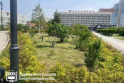 В Благовещенке продолжают работы по уходу за деревьями и цветниками