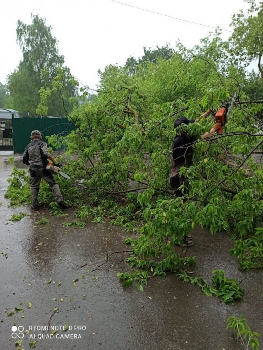 С улиц Кирова убирают рухнувшие во время непогоды деревья