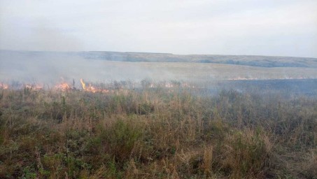 В районе Башкирии загорелась сухая трава
