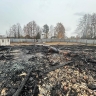 При пожаре в птичнике в Ярославской области погибли 150 индюшек