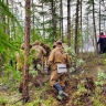 Два лесных пожара ликвидировали в Якутии за сутки
