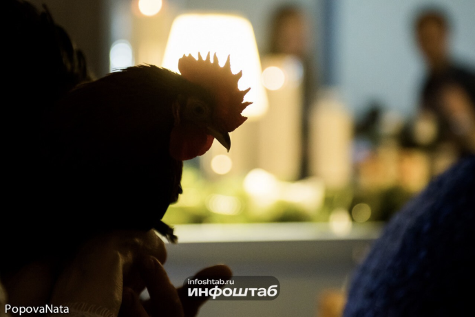 8 октября нельзя мыть голову и есть курятину