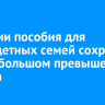 В России пособия для многодетных семей сохранят при небольшом превышении дохода
