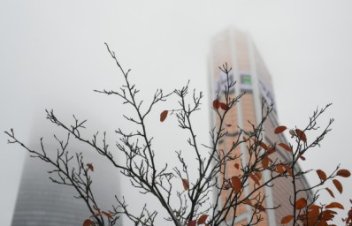 В Москве из-за тумана объявлен жёлтый уровень опасности