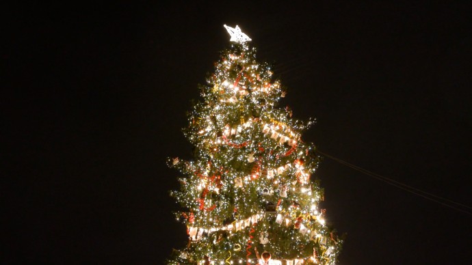 От набережной Фонтанки до новогоднего базара: гостям и жителям Петербурга представили шестой пешеходный маршрут