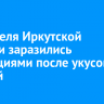 72 жителя Иркутской области заразились инфекциями после укусов клещей