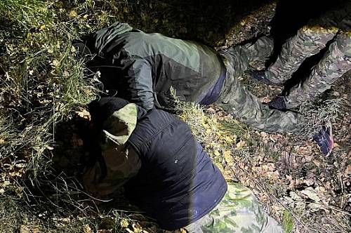 В Приамурье задержали двух рецидивистов, которые в лесном тайнике хранили коноплю В Приамурье задержали двух рецидивистов, которые в лесном тайнике хранили коноплю