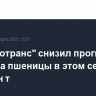 "Русагротранс" снизил прогноз экспорта пшеницы в этом сезоне до 40,5 млн т