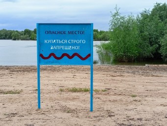 Жителей Пензы предупредили: купаться на этих четырех пляжах опасно для здоровья