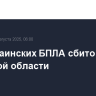 Два украинских БПЛА сбито в Брянской области