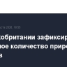 В Великобритании зафиксировано рекордное количество природных пожаров