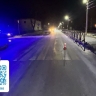 Водителя, сбившего девушку на пешеходном переходе в Поронайске, оштрафовали
