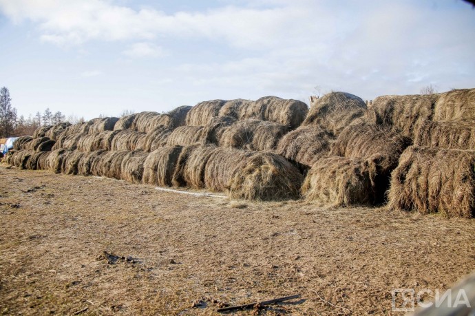 В Минсельхозе Якутии рассказали о подготовке к зиме