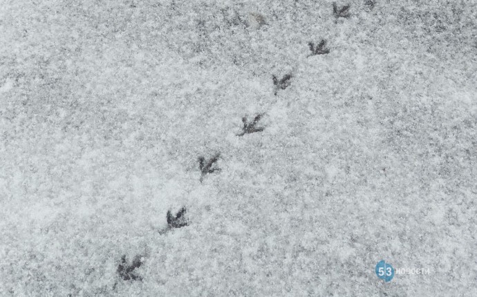 Тепло? Синоптик обратился к жителям России с важной информацией Тепло? Синоптик обратился к жителям России с важной информацией