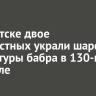 В Иркутске двое неизвестных украли шарф со скульптуры бабра в 130-м квартале