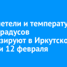 Снег, метели и температуру до +3 градусов прогнозируют в Иркутской области 12 февраля