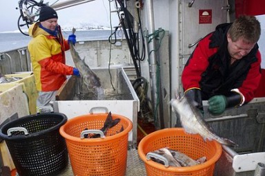 В Норвегии предупредили об угрозе срыва рыбного соглашения с Россией