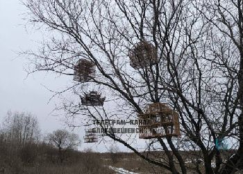Соцсети: Ловушки для птиц обнаружили на Астрахановских лугах в Благовещенске
