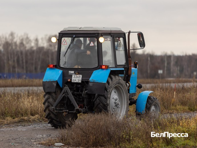 Для белгородских малых предприятий введут четыре вида налоговых льгот