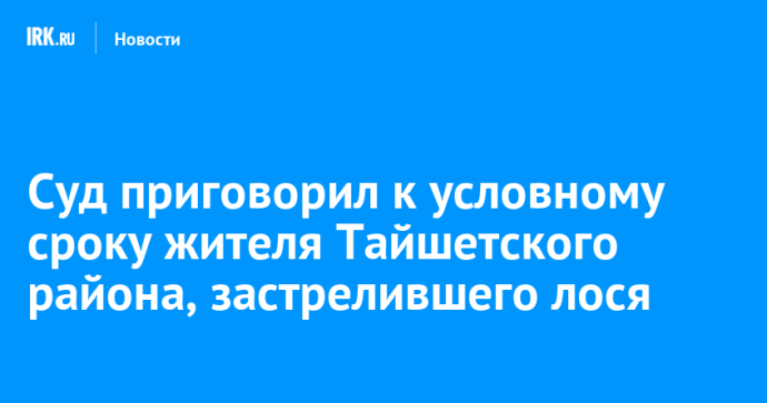 Суд приговорил к условному сроку жителя Тайшетского района, застрелившего лося
