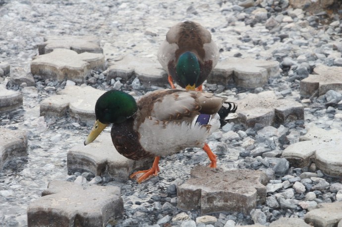 В январе и феврале погода в Башкирии будет аномальной