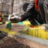 Испугавшись тюрьмы, глава управы срочно перекрасил клумбы