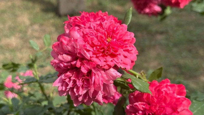 Погода в Башкирии приготовила нереальный сюрприз Погода в Башкирии приготовила нереальный сюрприз