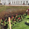 В овраге Засора установят гидровазоны