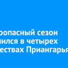 Пожароопасный сезон завершился в четырех лесничествах Приангарья
