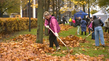 Убирать Петербург можно играючи, бегом и даже в паре со своим питомцем: субботник, как удовольствие