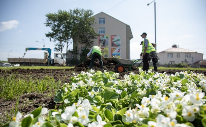 В Южно-Сахалинске высажено уже более 320 тысяч цветов