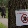 Россиян предупредили о начале активности клещей с наступлением весеннего потепления
