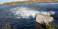 В астраханских водоемах ловили лодочников-нарушителей В астраханских водоемах ловили лодочников-нарушителей