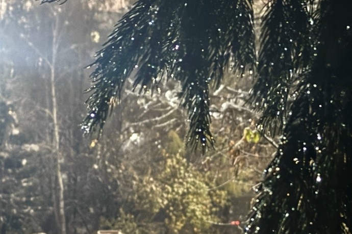 Синоптик Тишковец спрогнозировал морозы до -25 градусов в Подмосковье