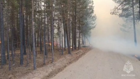 В Забайкальском крае пожар разросся возле СНТ