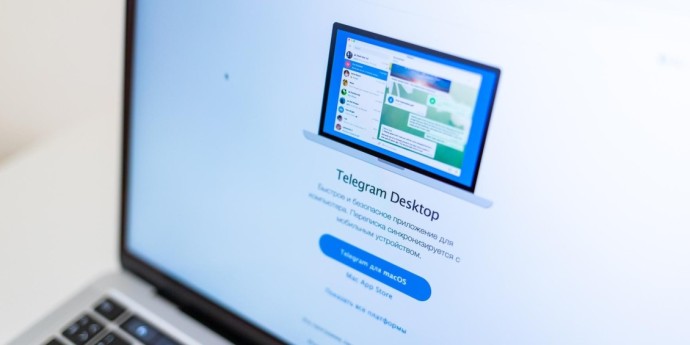 В СПЧ заявили о высокой вероятности возобновления работы Telegram в России - «Общество»