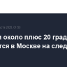 Дожди и около плюс 20 градусов ожидается в Москве на следующей неделе