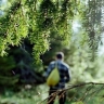 В лесах Зианчуринского района Башкирии пропал мужчина
