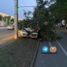 В Уфе водитель за рулем «Лады Весты» врезался в дерево, есть пострадавшие