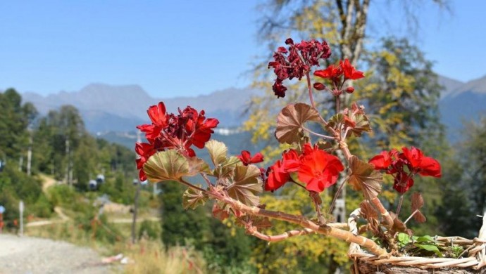 Без Анапы: какие туры по стране покупают туристы на июньские праздники Без Анапы: какие туры по стране покупают туристы на июньские праздники