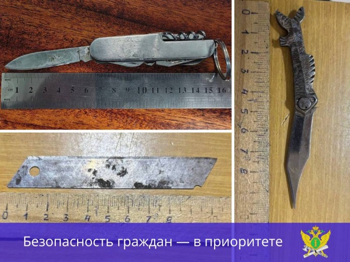 Судебные приставы в Туле предотвратили пронос ножей в здания судов