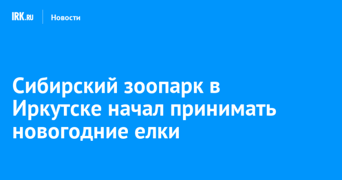 Сибирский зоопарк в Иркутске начал принимать новогодние елки